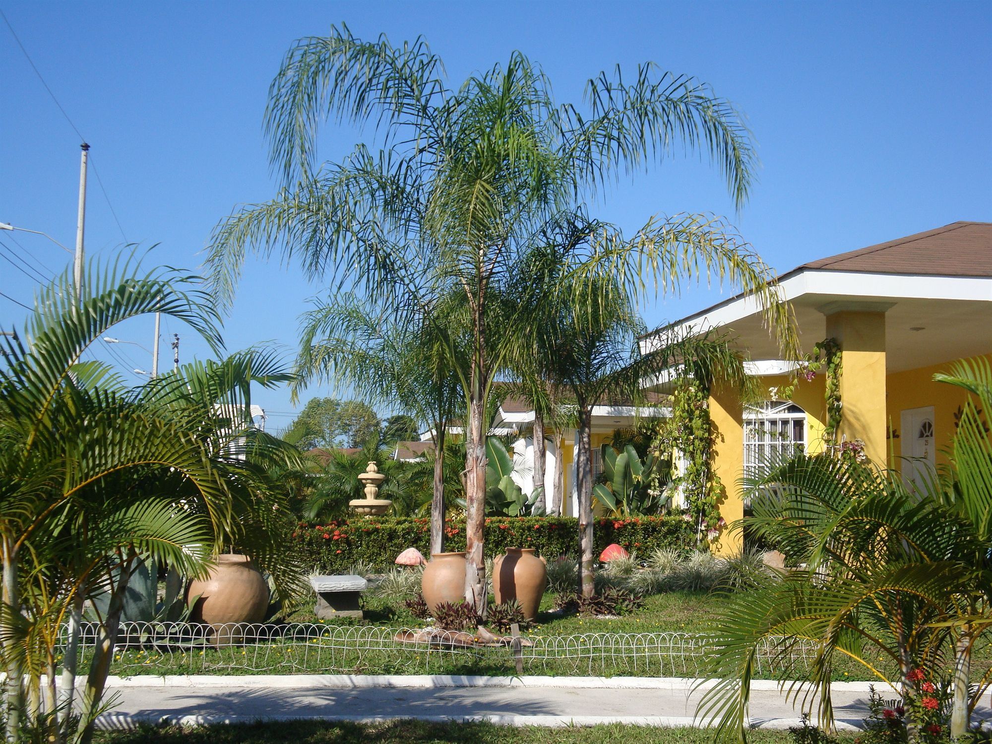Hotel Palma Real Sambo Creek Exterior photo